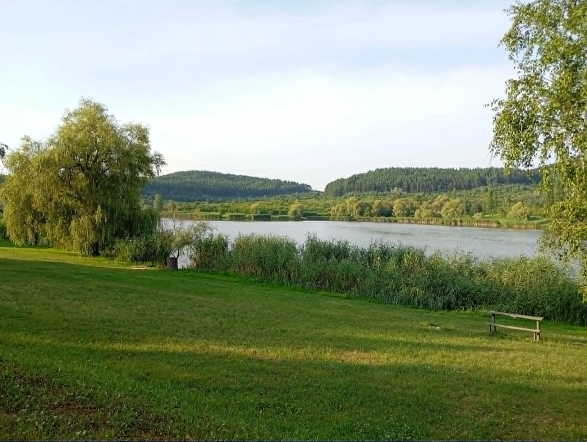 Búzásvölgyi-tó horgászat